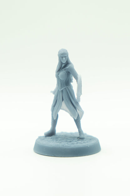 Tabletop Minitures | Elderwood Elves | Caracters | The Printing Goes Ever On | Herr der Ringe | MESBG | Fantasy Miniaturen