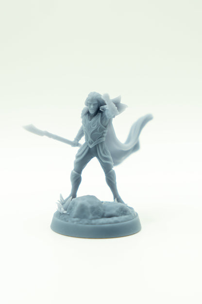 Tabletop Minitures | Elderwood Elves | Commanders | The Printing Goes Ever On | Herr der Ringe | MESBG | Fantasy Miniaturen