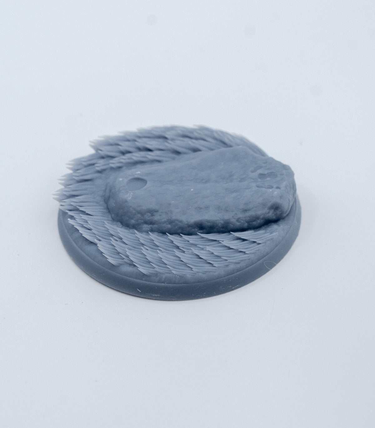 Wald Base | Universal 3D Bases | Bases