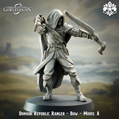 Requblic Ranger | Infantry | The Landing | Domani Republic