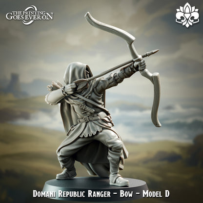 Requblic Ranger | Infantry | The Landing | Domani Republic
