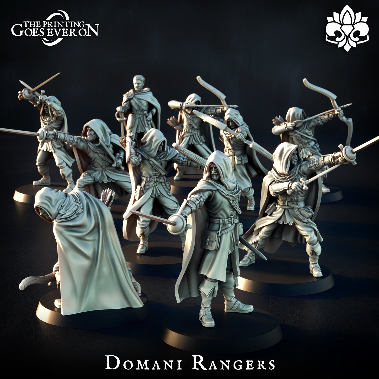 Requblic Ranger | Infantry | The Landing | Domani Republic
