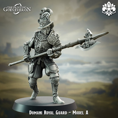 Royal Guard | Elite | The Landing | Domani Republic