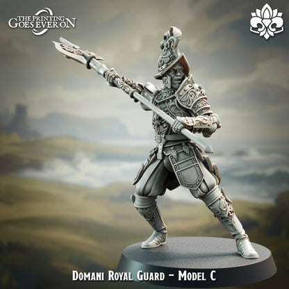 Royal Guard | Elite | The Landing | Domani Republic