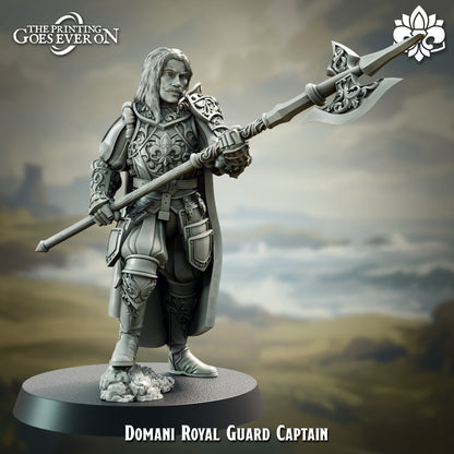 Royal Guard | Elite | The Landing | Domani Republic