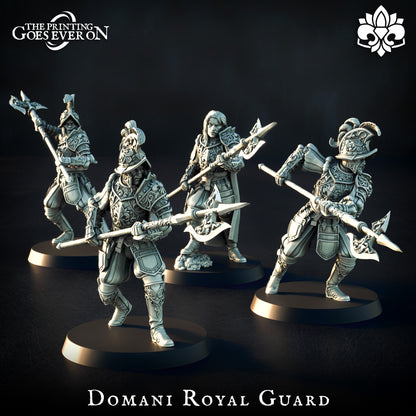 Royal Guard | Elite | The Landing | Domani Republic