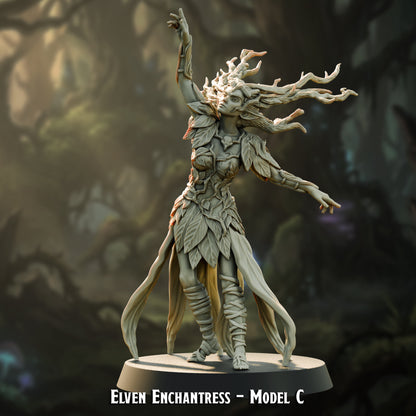 Elven Enchantress | Elite | The Bright Court | Courts of Gwynavir