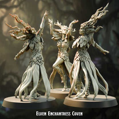Elven Enchantress | Elite | The Bright Court | Courts of Gwynavir