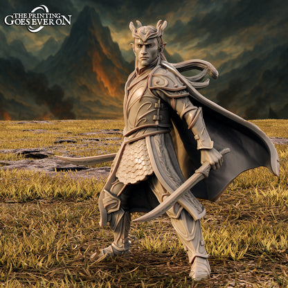 Tabletop Minitures | Elderwood Elves | Caracters | The Printing Goes Ever On | Herr der Ringe | MESBG | Fantasy Miniaturen