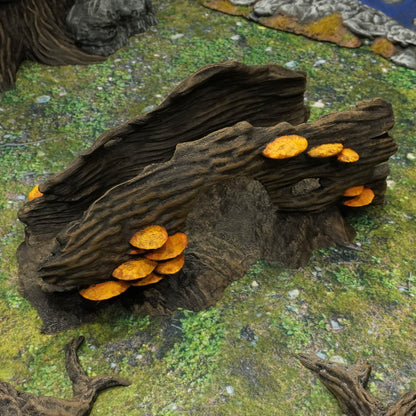 gefallender Baum hohl | Wald
