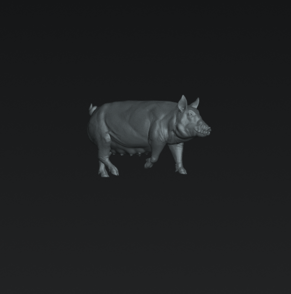 Schwein