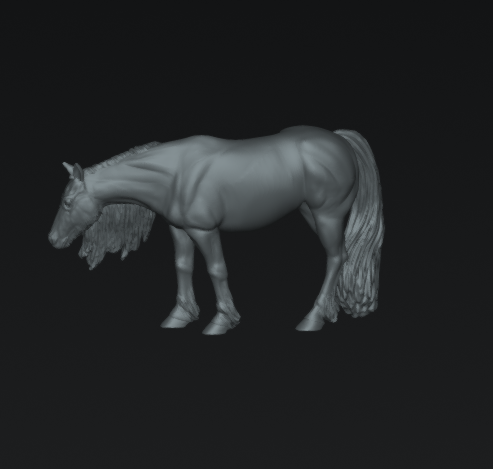 Pferd