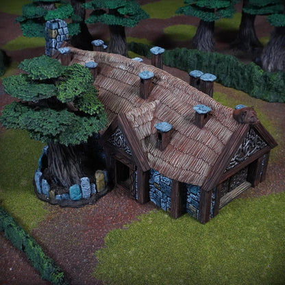 Bären Haus | Realm of the Bear Lords | MESBG