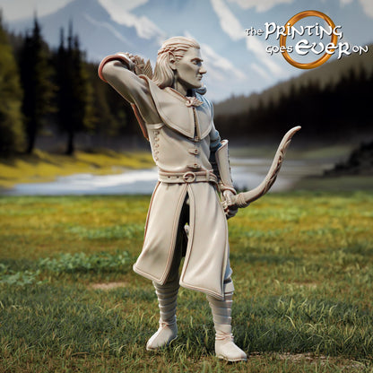 Tabletop Minitures | Die Gefährten des Lichts | Helden - auf Reisen | The Printing Goes Ever On | Herr der Ringe | Fantasy Miniaturen