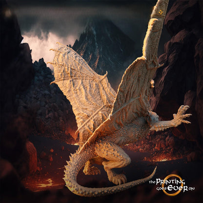 Dragon | Drache | Fantasy
