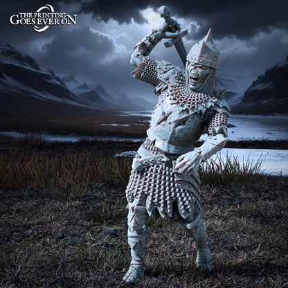 Barrow Wights | Northern Kingdom | MESBG
