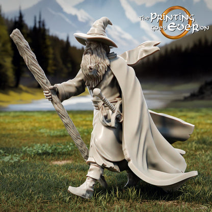 Tabletop Minitures | Die Gefährten des Lichts | Helden - auf Reisen | The Printing Goes Ever On | Herr der Ringe | Fantasy Miniaturen