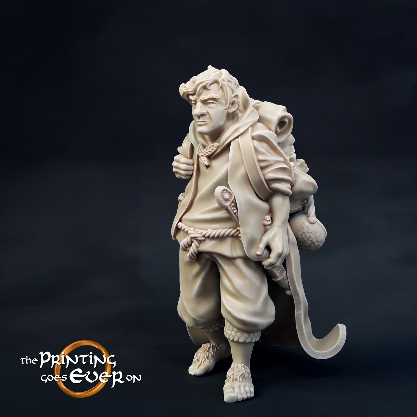 Tabletop Minitures | Die Gefährten des Lichts | Helden - auf Reisen | The Printing Goes Ever On | Herr der Ringe | Fantasy Miniaturen