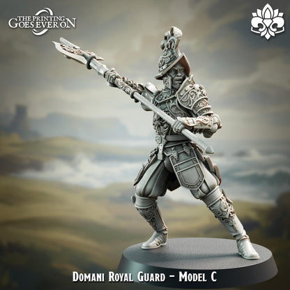 Tabletop Minitures | Domani Republic | Elite Units | The Printing Goes Ever On | Fantasy Miniaturen